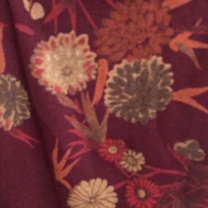 Size 6 fully lined dress   Cute floral print